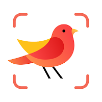 Picture Bird — Распознать птиц для Android