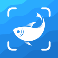 Picture Fish — Fish Identifier для iOS