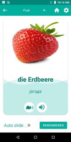 Serbian German Translator для Android — скриншот 4