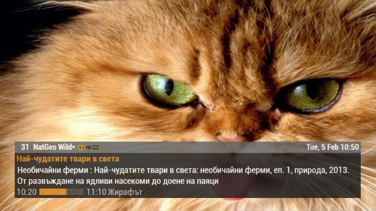 UNiTV для Android — скриншот 4