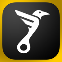 VORON — каршеринг для iOS