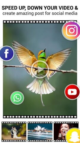 Изменение скорости видео для Android — скриншот 5