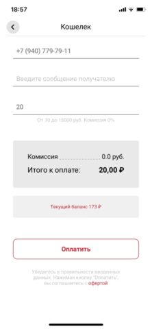 а-мобаил для iOS — скриншот 3