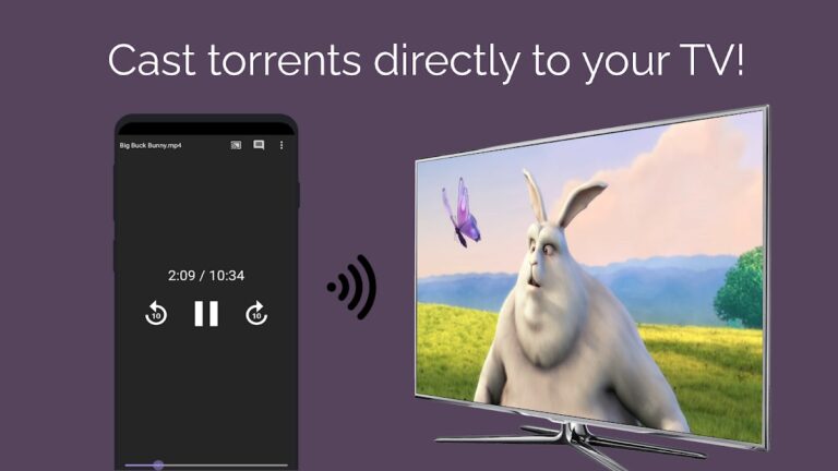Amnis — Torrent Player для Android — скриншот 2