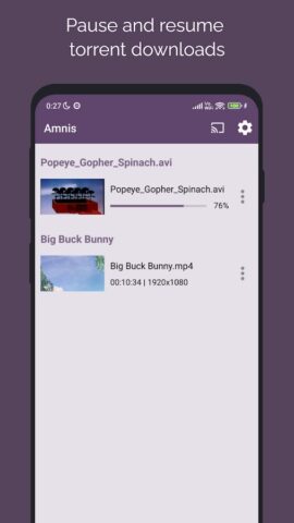 Amnis — Torrent Player для Android — скриншот 5