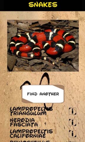 идентификатор змеи для Android — скриншот 3