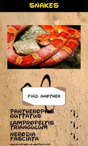 идентификатор змеи для Android — скриншот 5