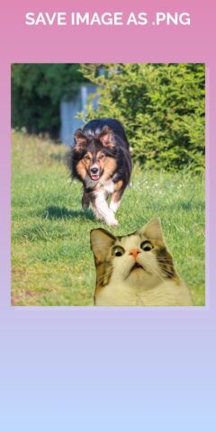 Сделать Белый фон для фото для Android — скриншот 3