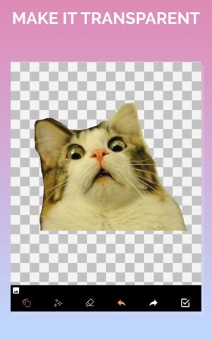 Сделать Белый фон для фото для Android — скриншот 5