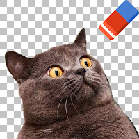 Сделать Белый фон для фото для Android