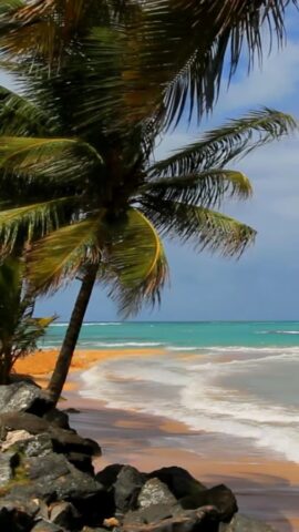 Пляж и море. для Android — скриншот 2