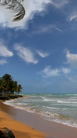 Пляж и море. для Android — скриншот 5