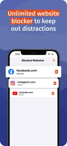 BlockerX: Блокировка сайтов для iOS — скриншот 5