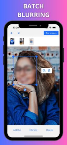 Размытие лиц и номеров на фото для iOS — скриншот 1