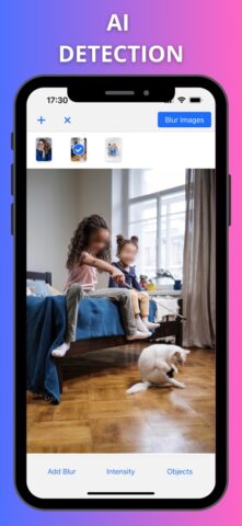Размытие лиц и номеров на фото для iOS — скриншот 2