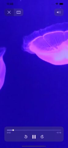 Currys Cloud Backup для iOS — скриншот 5