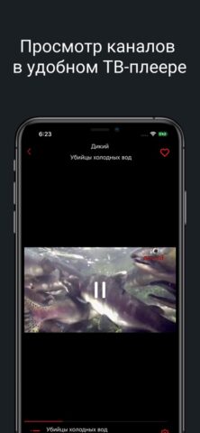 Дикое ТВ для iOS — скриншот 2