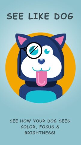 Dog Vision HD для iOS — скриншот 1