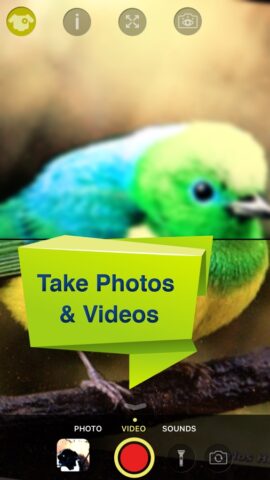 Dog Vision HD для iOS — скриншот 3