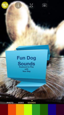 Dog Vision HD для iOS — скриншот 4