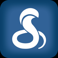 Drive HD by Cobra для iOS