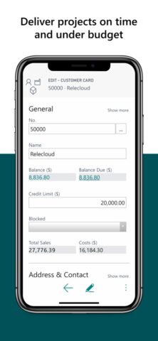 Dynamics 365 Business Central для iOS — скриншот 4