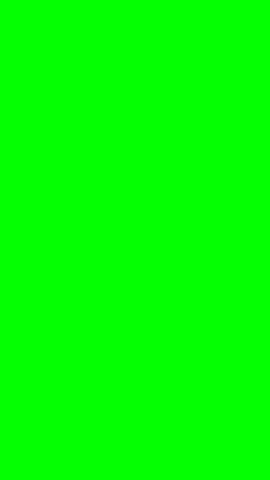 Green Screen для Android — скриншот 1