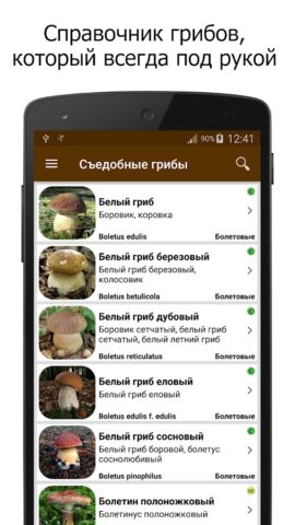 Грибы для Android — скриншот 1