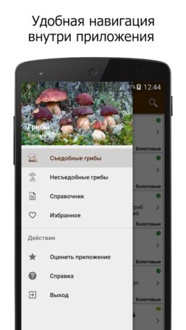 Грибы для Android — скриншот 3
