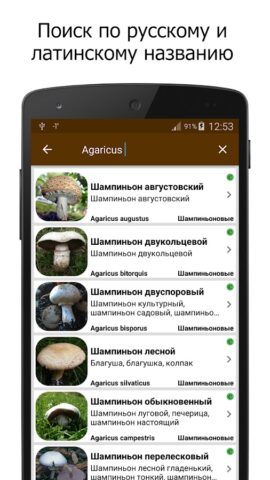 Грибы для Android — скриншот 4