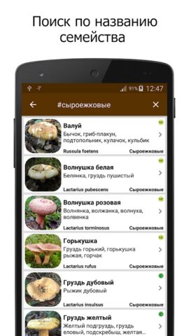 Грибы для Android — скриншот 5