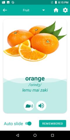 Hausa English Translator для Android — скриншот 4