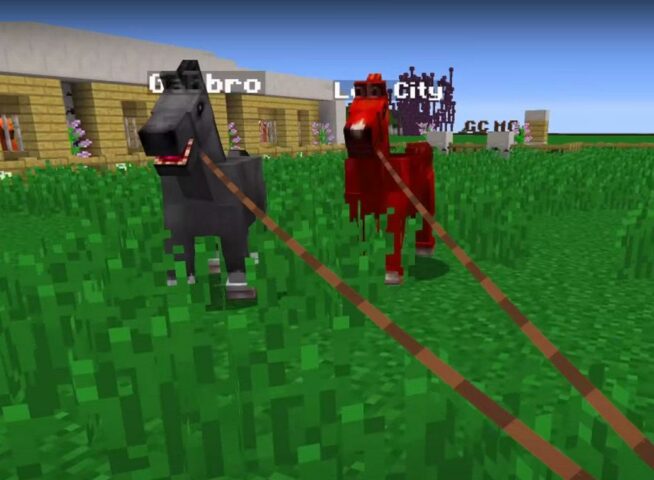 Мод на Лошадь в mcpe для Android — скриншот 3