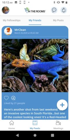 In The Rooms для Android — скриншот 2