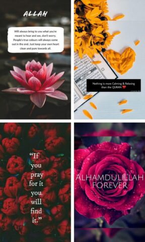 Islamic Quotes And DP для Android — скриншот 1
