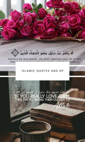 Islamic Quotes And DP для Android — скриншот 5