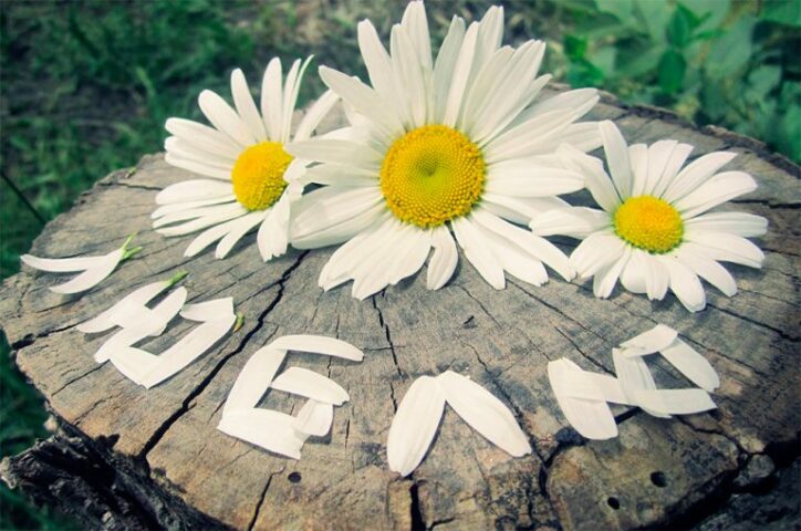 Картинки про любовь для Android — скриншот 1