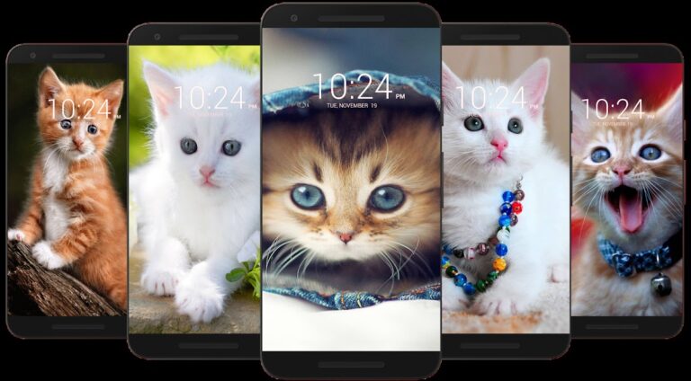 Котенок И Милый Кот Обои HD для Android — скриншот 5