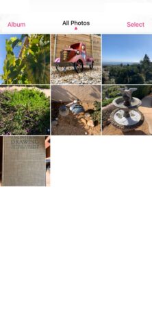 LP — Live Image to Video & GIF для iOS — скриншот 1