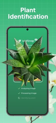 LeafSnap Plant Identification для Android — скриншот 1