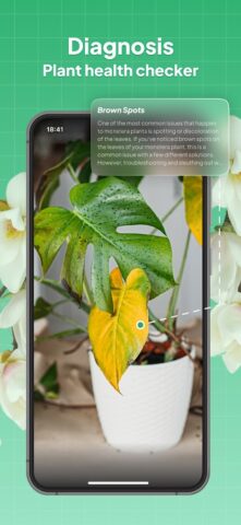 LeafSnap Plant Identification для Android — скриншот 3