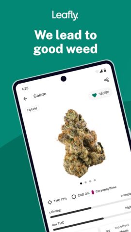 Leafly: Find Cannabis and CBD для Android — скриншот 1