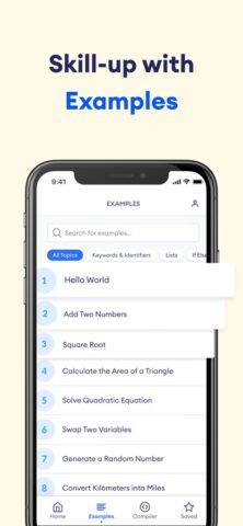 Learn C++: Programiz для iOS — скриншот 4
