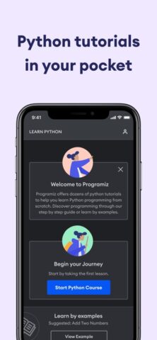 Learn Python: Programiz — скриншот 5