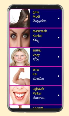 Learn Tamil From Telugu для Android — скриншот 3