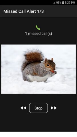 Missed Call Alert для Android — скриншот 2