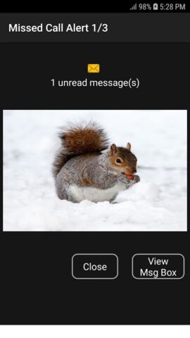 Missed Call Alert для Android — скриншот 3