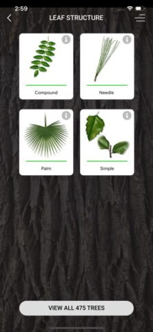 My Tree ID для iOS — скриншот 3