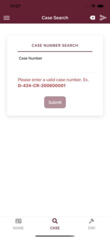 New Mexico Courts Case Lookup для iOS — скриншот 3