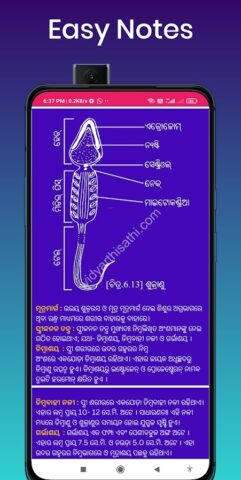 Odisha 10th book answer для Android — скриншот 5